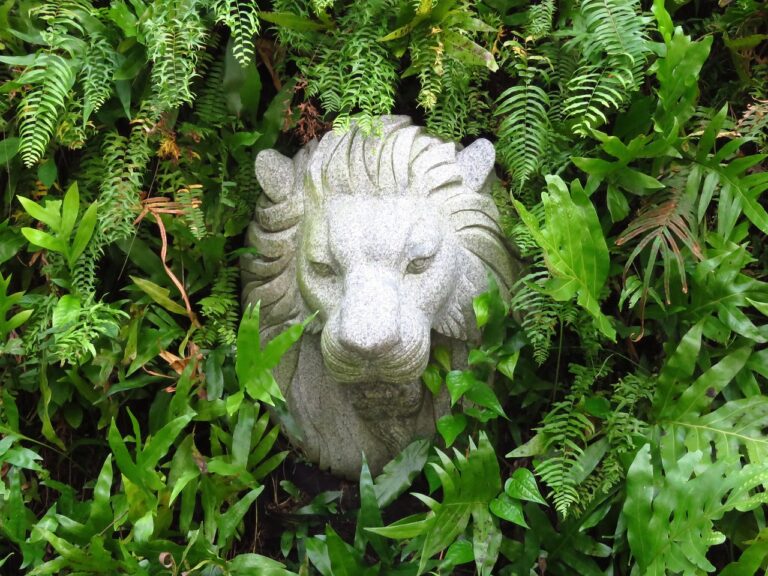 idol, lion, nature, head